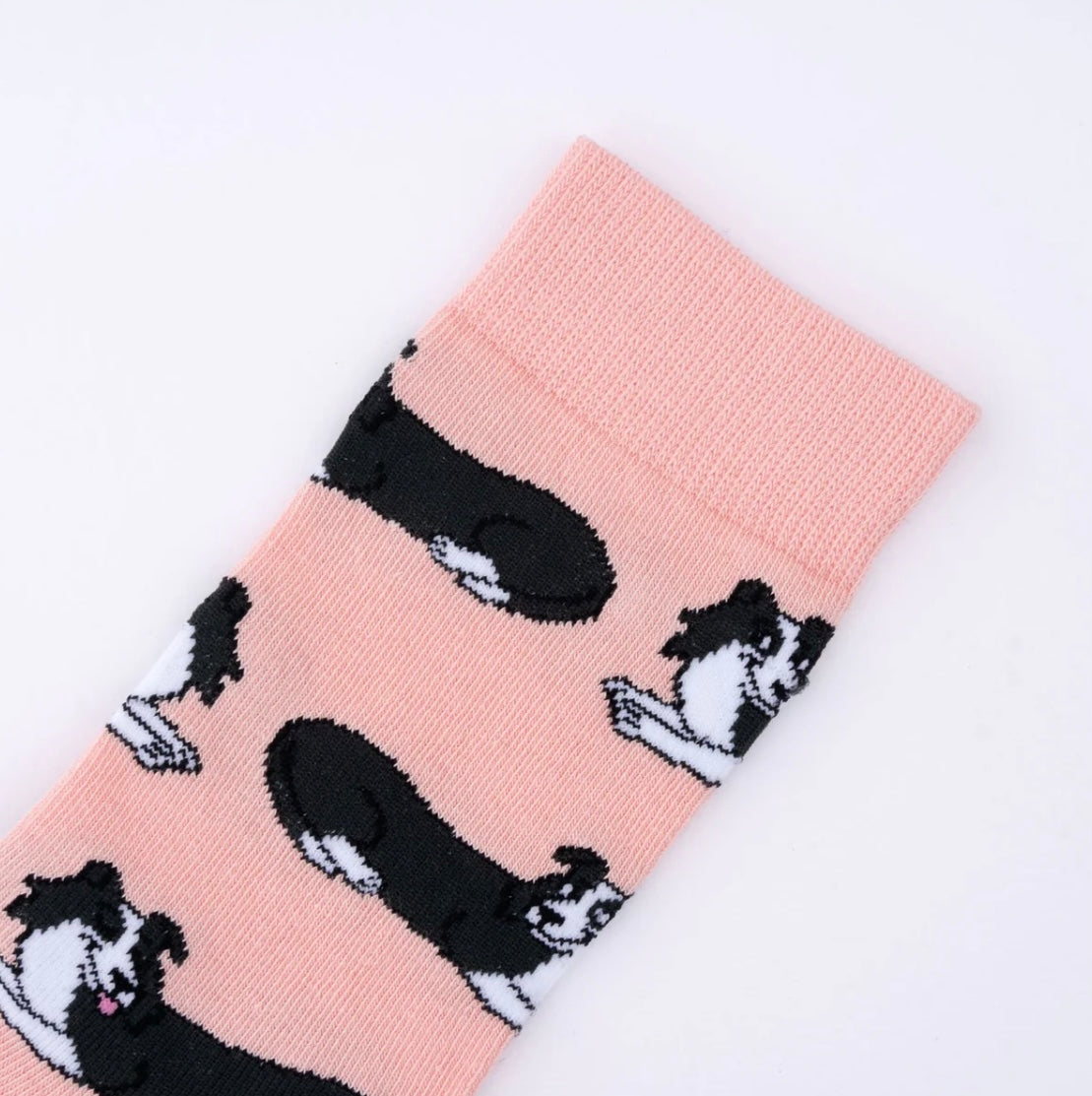 Chaussettes Border Collie