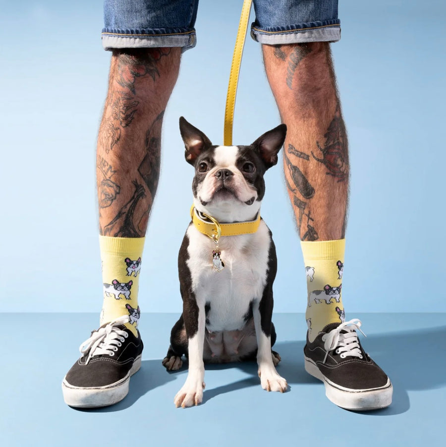 Chaussettes Bouledogue