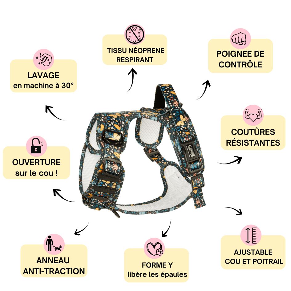 Harnais pour chien anti-traction - Comfy Butterfly