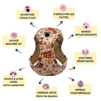 Thumbnail for Harnais Step-In Luna Bear