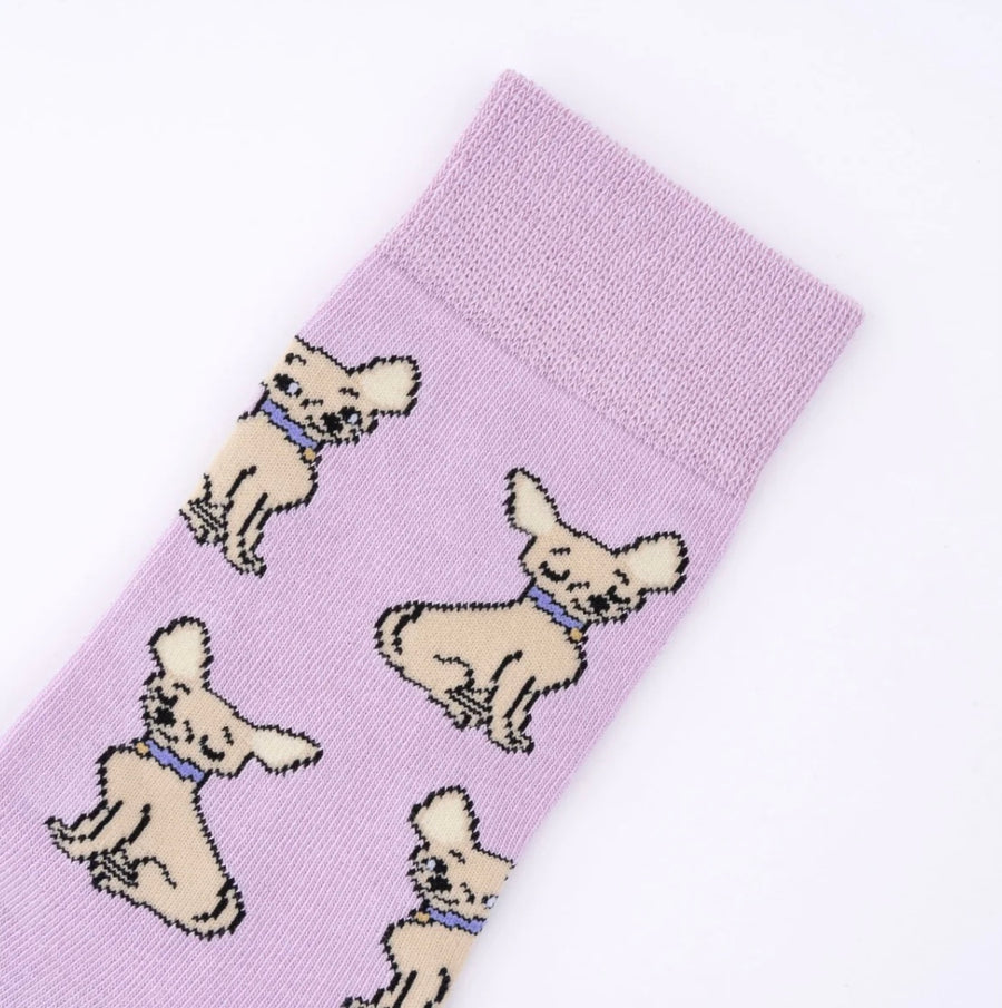 Chaussettes Chihuahua