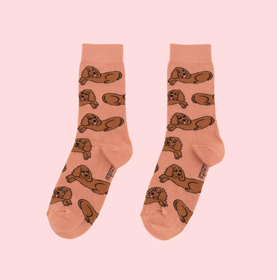 Chaussettes Cocker