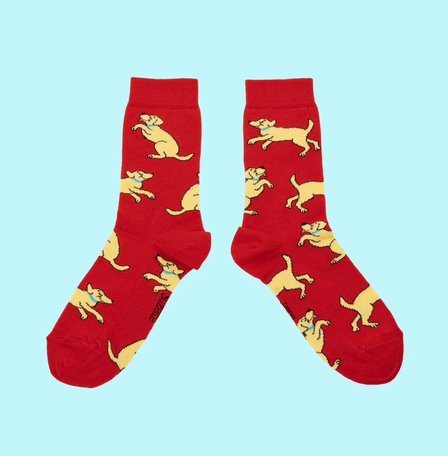 Chaussettes Golden Retriever