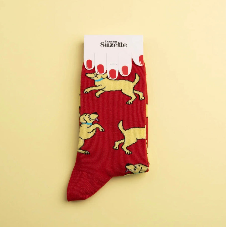 Chaussettes Golden Retriever
