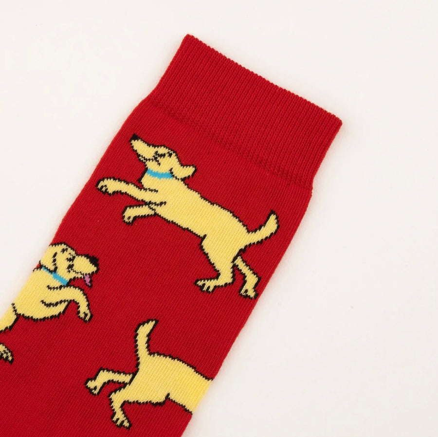 Chaussettes Golden Retriever