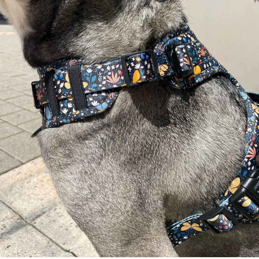 Harnais pour chien anti-traction - Comfy Butterfly