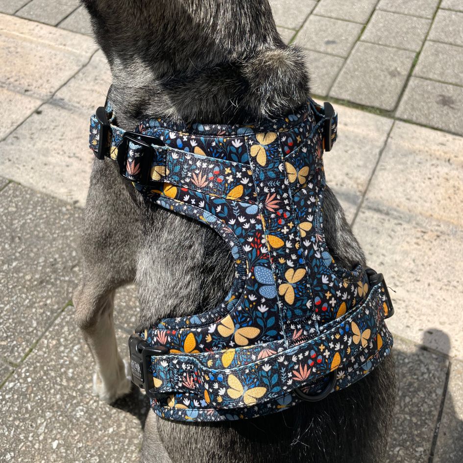 Harnais pour chien anti-traction - Comfy Butterfly