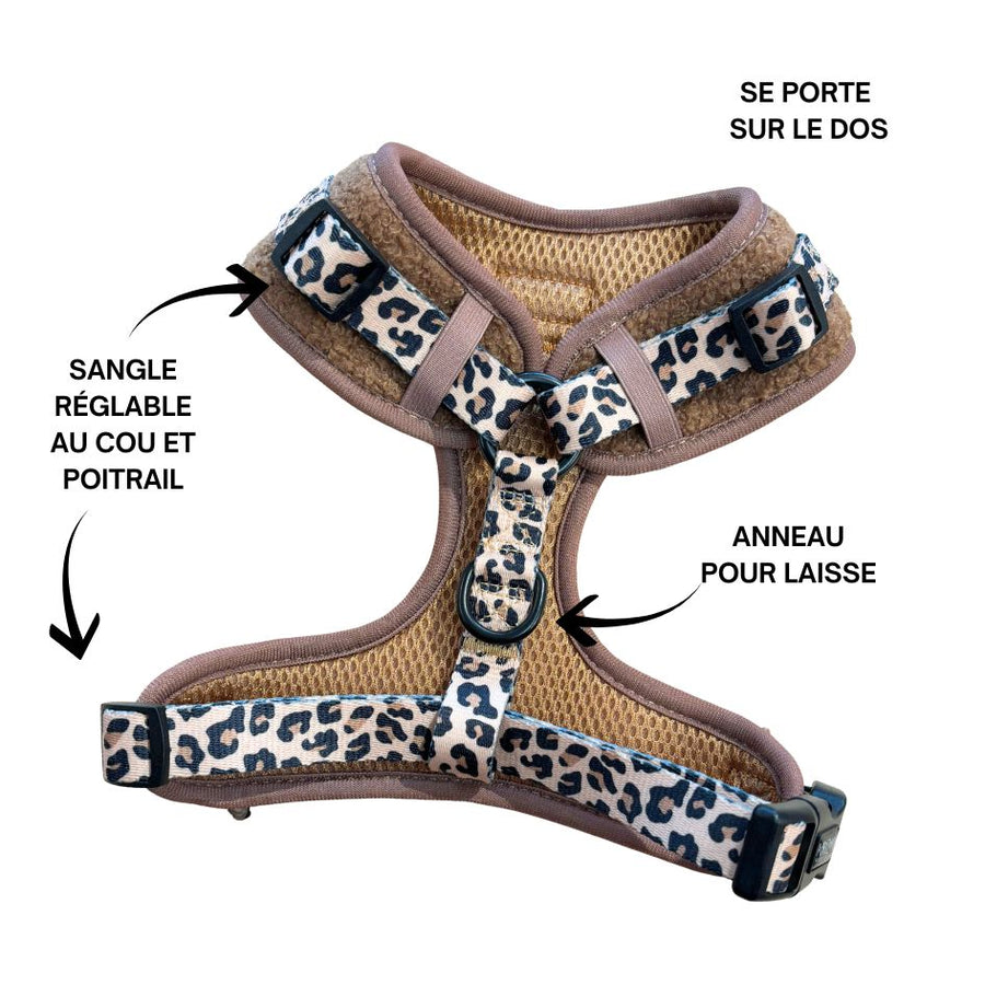 Harnais pour chien en H - Teddy Brun