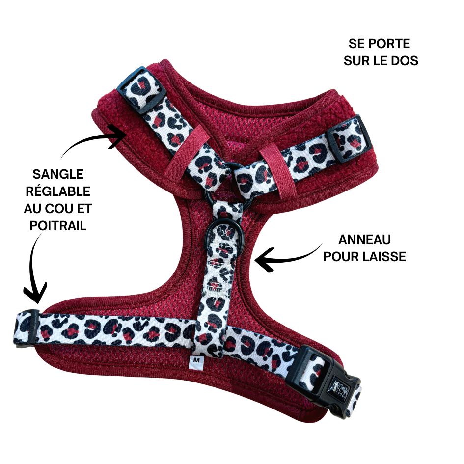 Harnais pour chien en H - Teddy Bordeaux