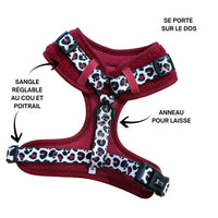 Thumbnail for Harnais pour chien en H - Teddy Bordeaux