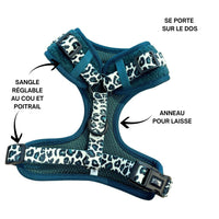 Thumbnail for Harnais pour chien en H - Teddy Sapin