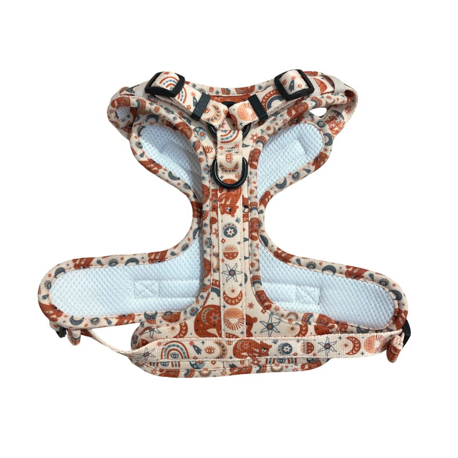 Harnais pour chien anti-traction - Comfy Luna Bear