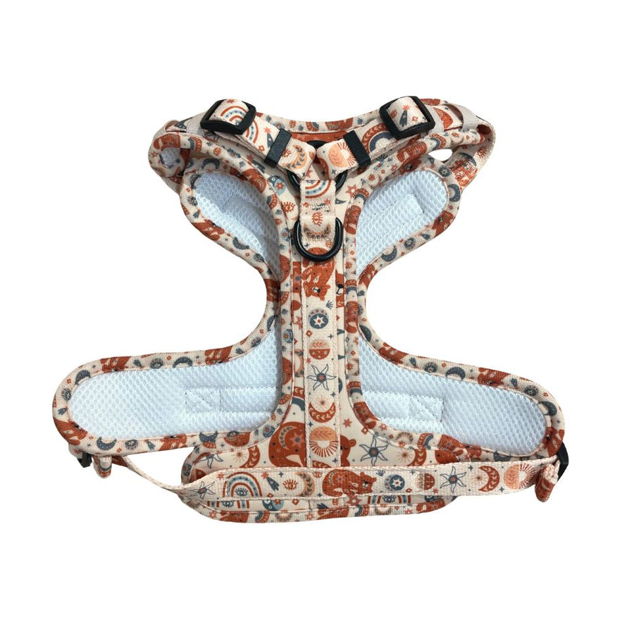 Harnais pour chien anti-traction - Comfy Luna Bear