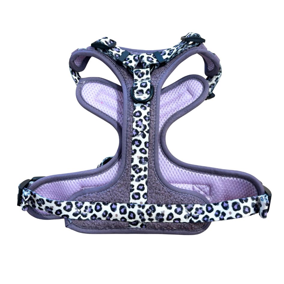 Harnais pour chien anti-traction - Comfy Teddy Lila