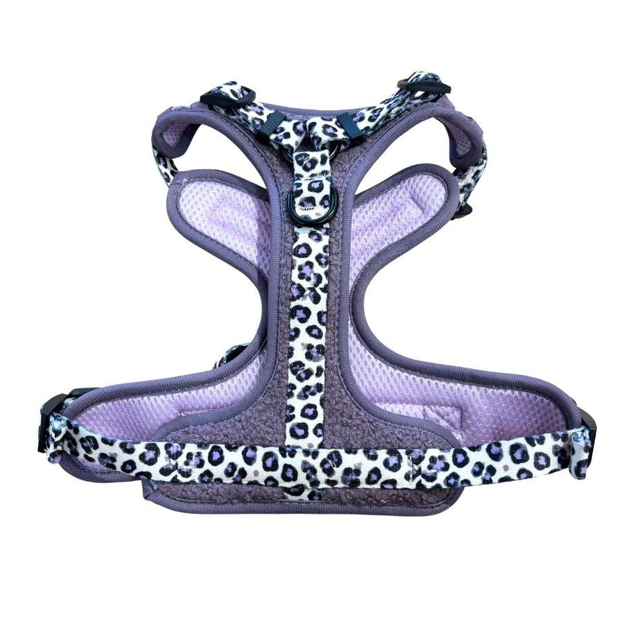 Harnais pour chien anti-traction - Comfy Teddy Lila