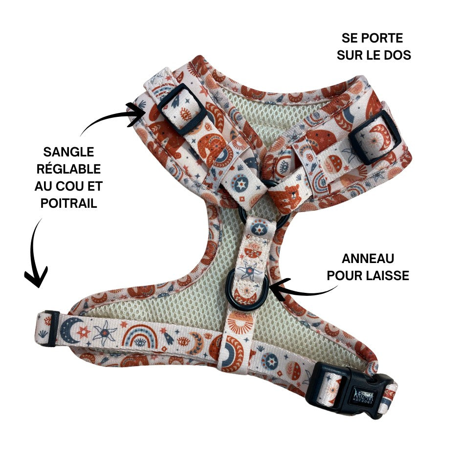 Harnais pour chien en H - Luna Bear