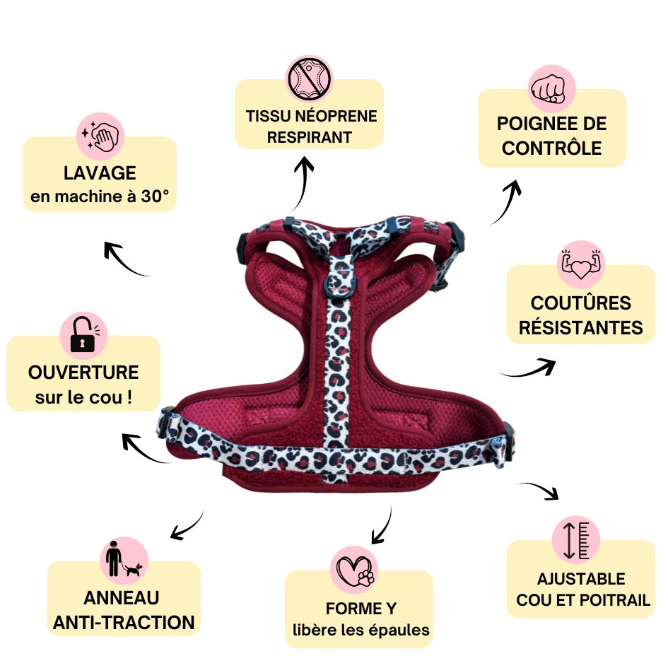 Harnais pour chien anti-traction - Comfy Teddy Bordeaux