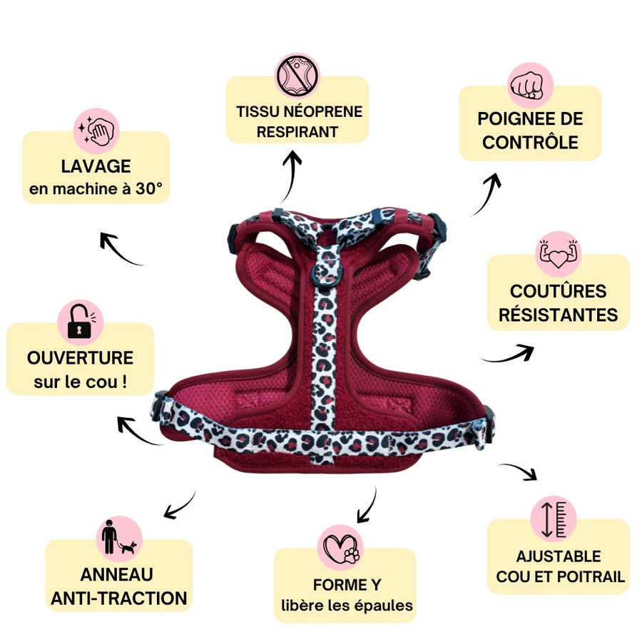 Harnais pour chien anti-traction - Comfy Teddy Bordeaux