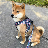 Thumbnail for Harnais Step-In Hohoho