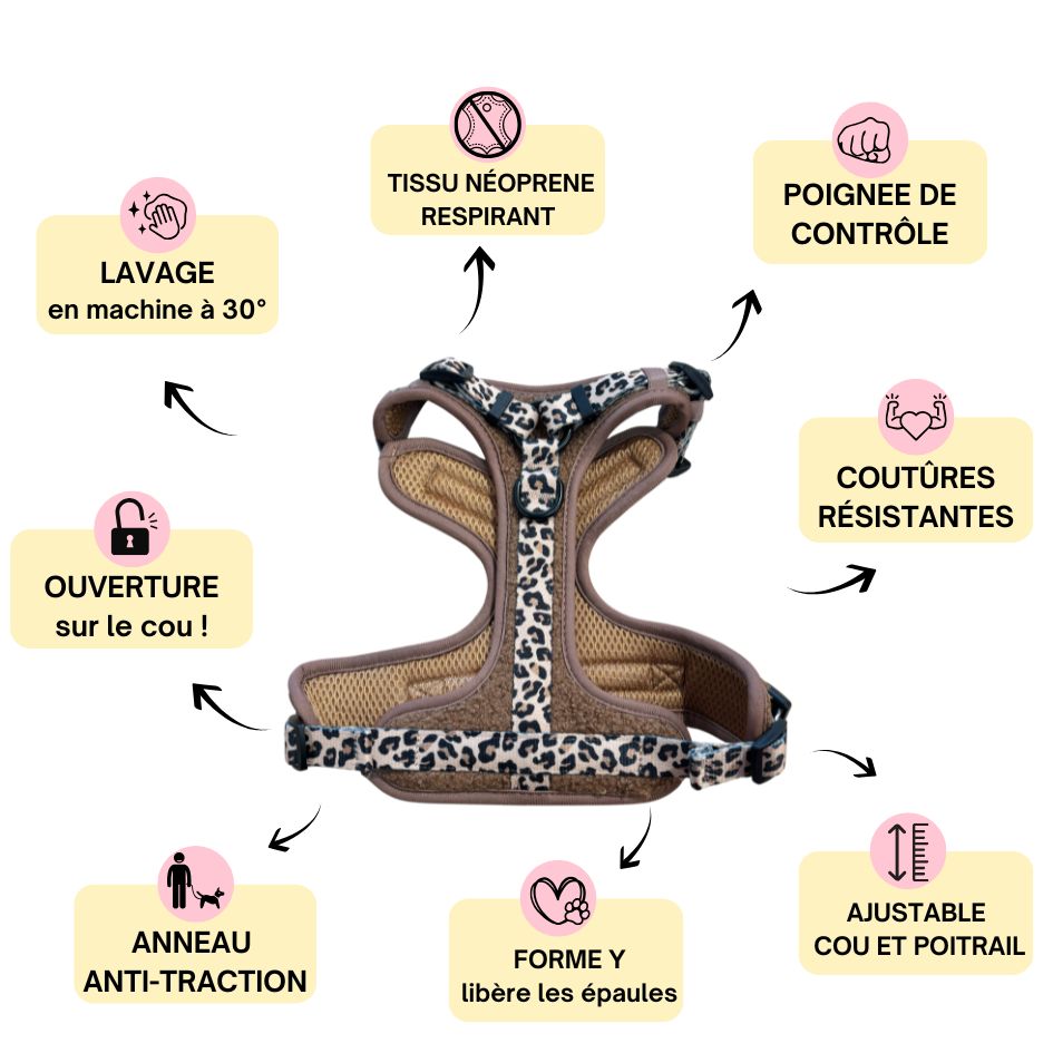 Harnais pour chien anti-traction - Comfy Teddy Brun