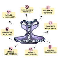 Thumbnail for Harnais pour chien anti-traction - Comfy Teddy Lila