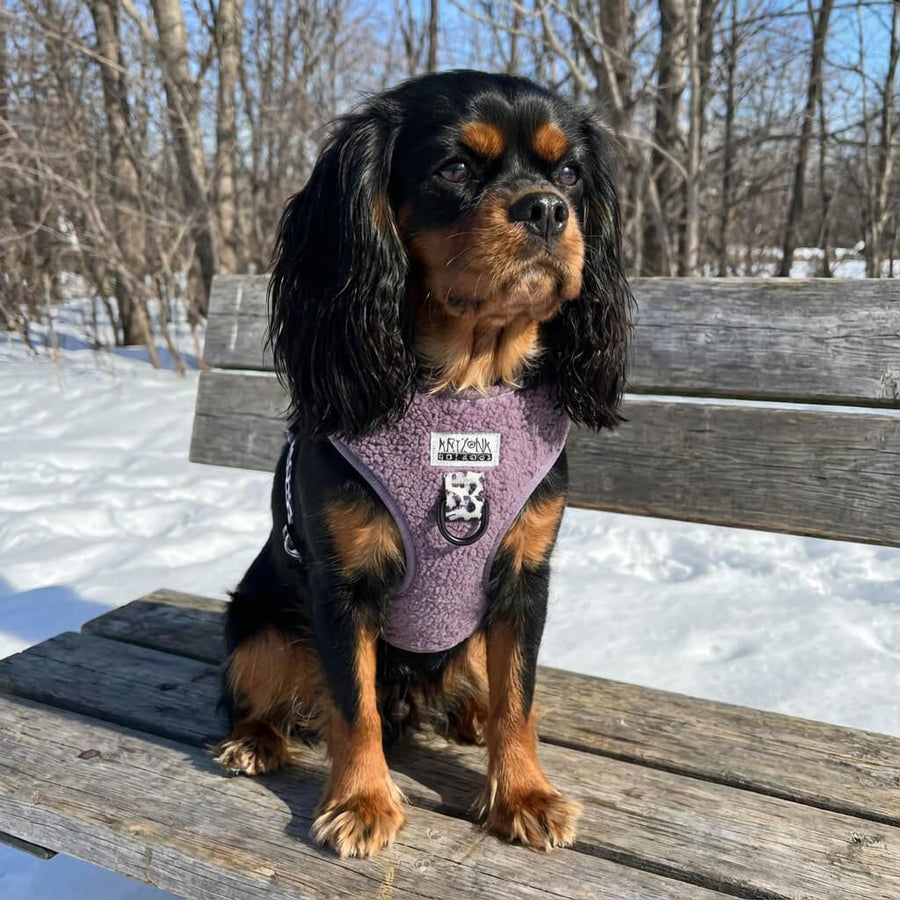 Harnais pour chien en H - Teddy Lila