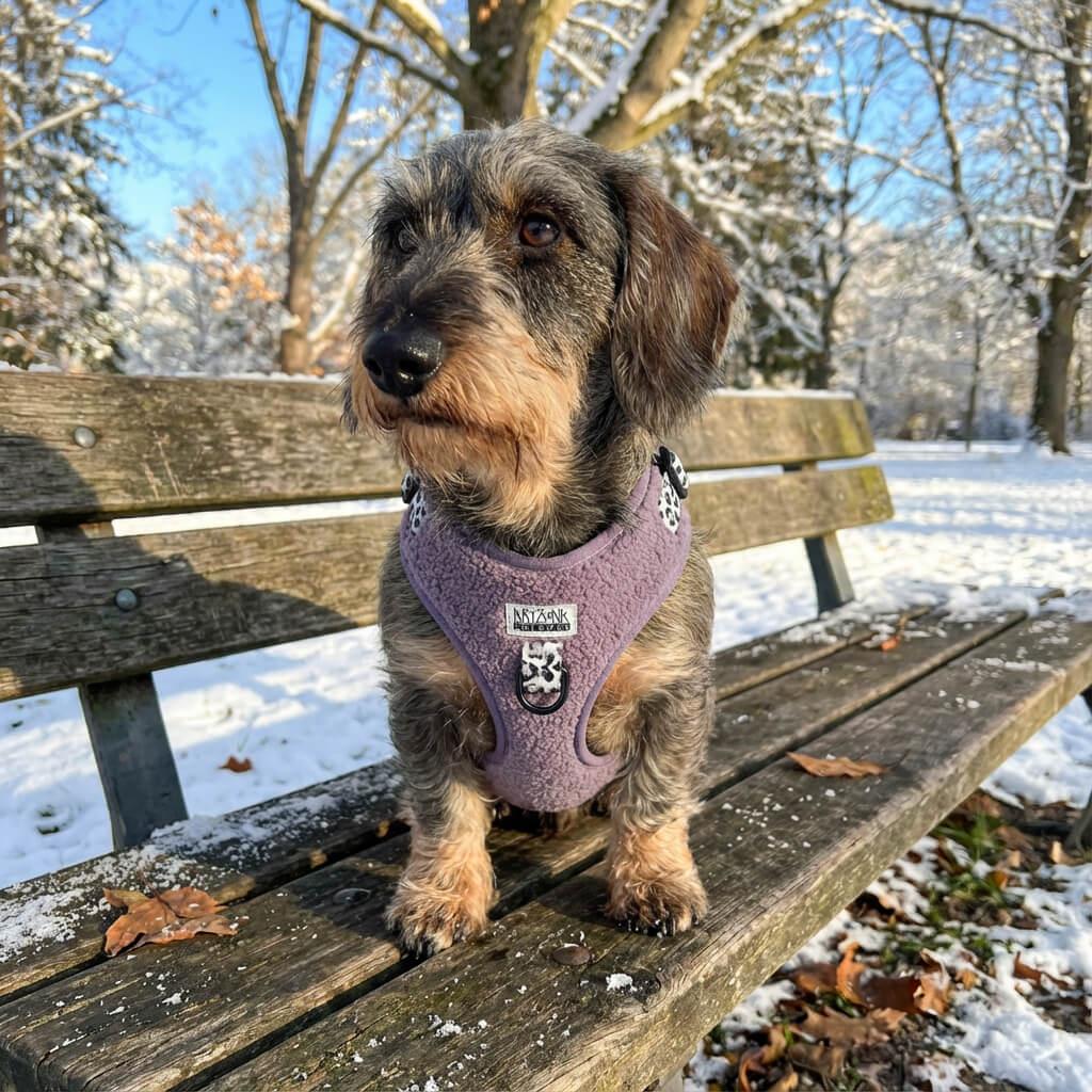 Harnais pour chien en H - Teddy Lila