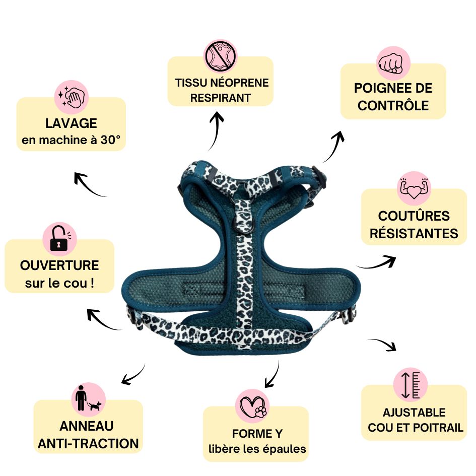 Harnais pour chien anti-traction - Comfy Teddy Sapin