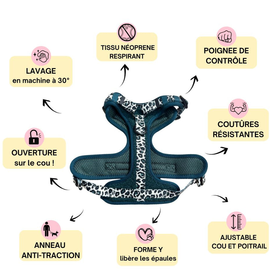 Harnais pour chien anti-traction - Comfy Teddy Sapin