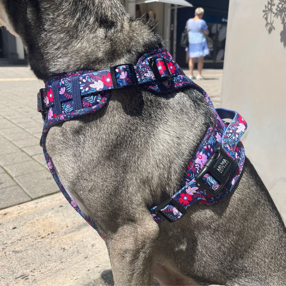 Harnais pour chien anti-traction - Comfy Violala