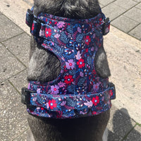 Thumbnail for Harnais pour chien anti-traction - Comfy Violala