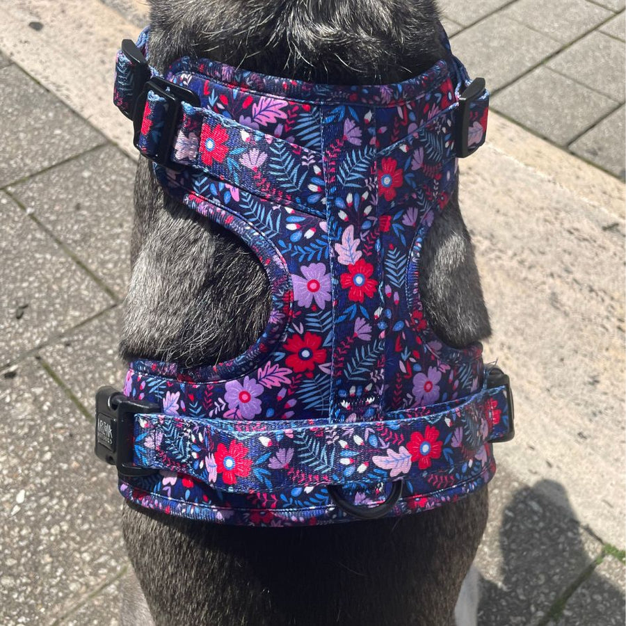 Harnais pour chien anti-traction - Comfy Violala