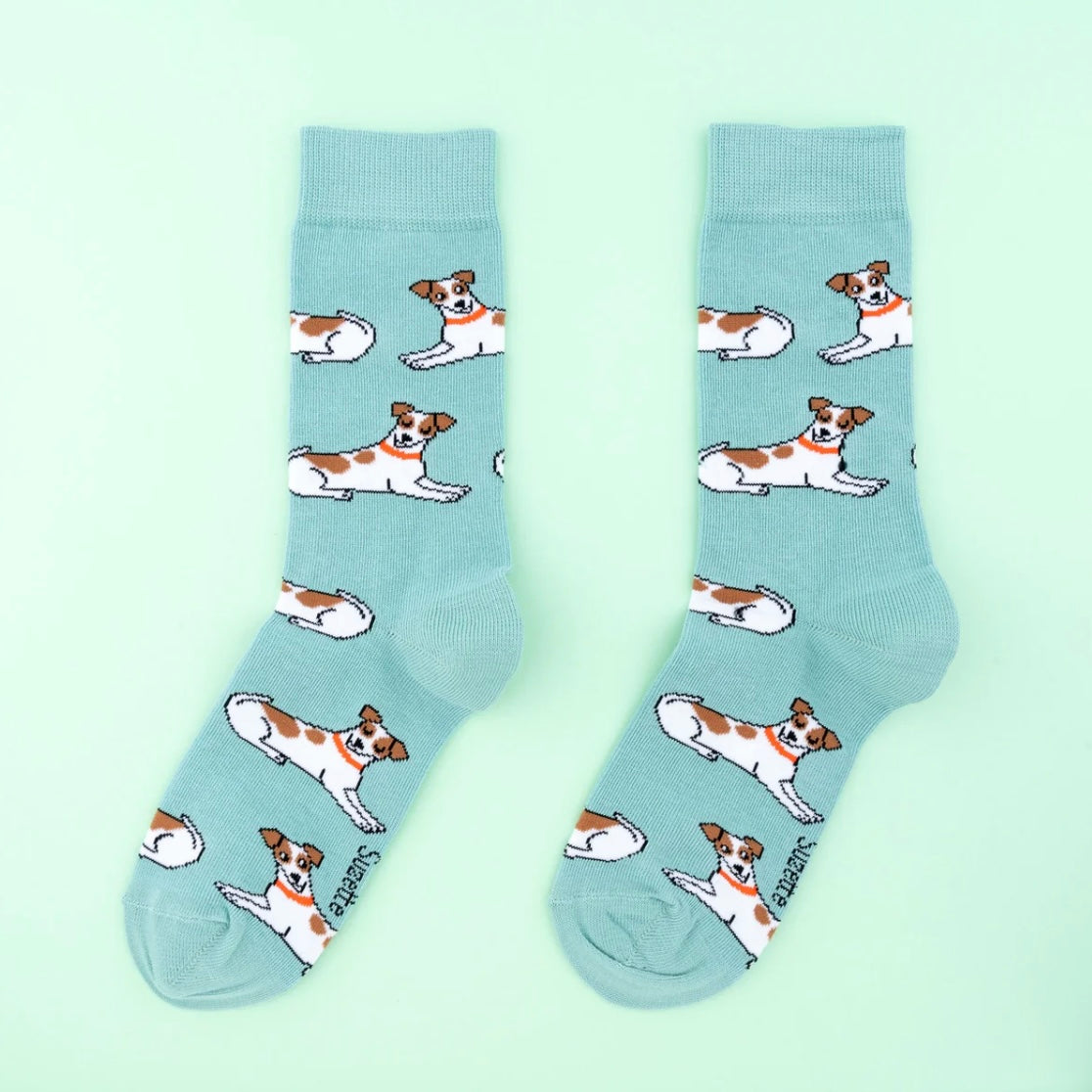 Chaussettes Jack Russel