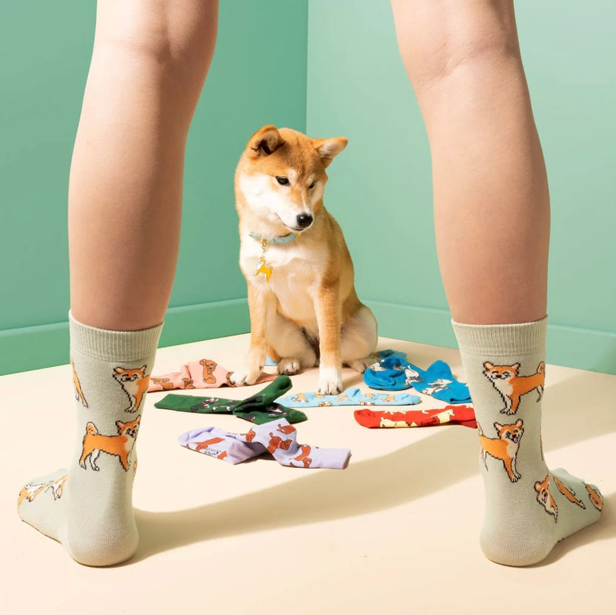 Chaussettes Shiba