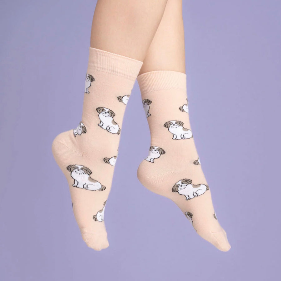 Chaussettes Shih tzu